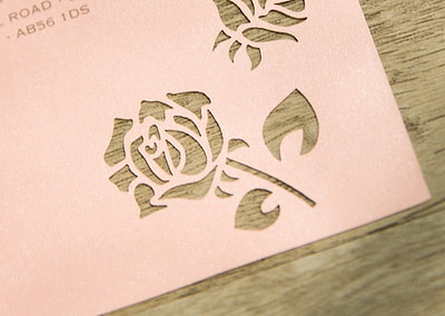 1.1_Partecipazione Piatta Rosa-particolare